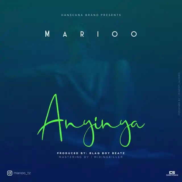 Anyinya song by Marioo