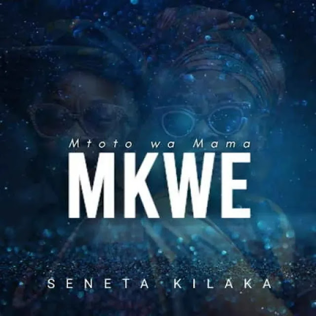 Mtoto wa Mama Mkwe by Seneta Kilaka