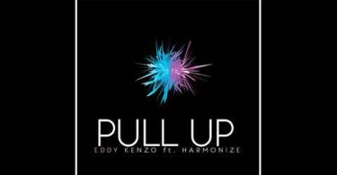 Eddy Kenzo Ft. Harmonize – Pull Up